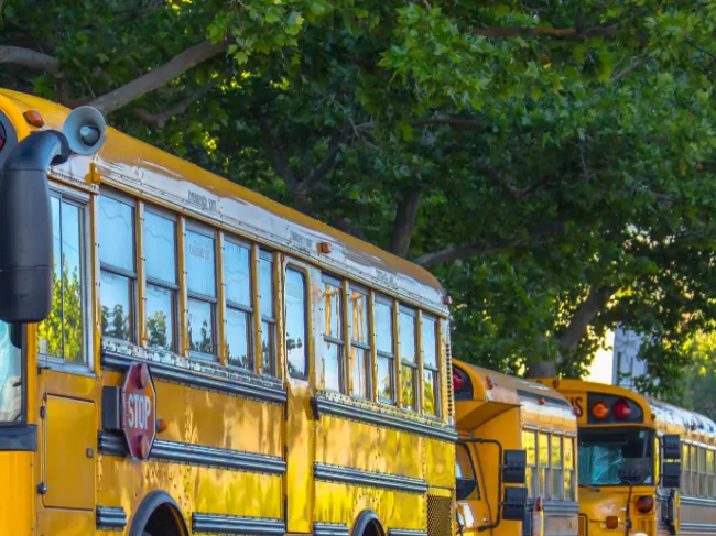 school busses